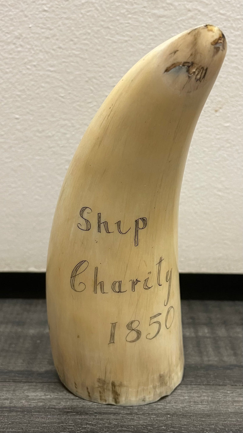 Ship Charity Scrimshaw Whale Tooth 1850 - $20K APR w/CoA APR57