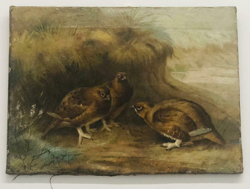 Archibald Thorburn, "Perdices", Signed Realist Oil on Canvas, Circa 1900-1930 - $200K Apr Value* APR 57