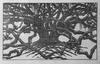 Jacques Hnizdovsky “Lousiana Champion Live Oak”.  1977 Ltd. Edition Woodcut Print - $10K APR Value w/ CoA! APR 57