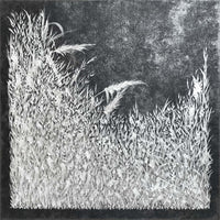 ALESSIA LU  "Night Grass" Acrylic on Canvas, 2021 APR 57