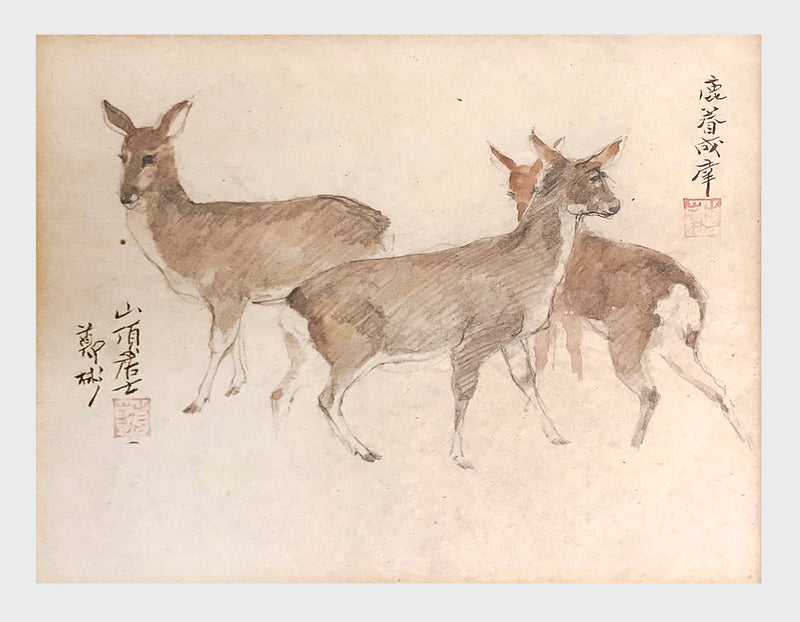 1930s Vintage Japanese Graphite & Watercolor Deer Drawing - $800 APR Value w/ CoA! + APR 57