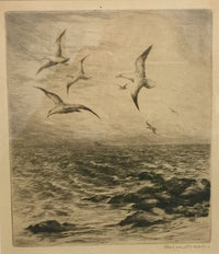 Roland Clark, 'Seagulls Above The Sea,' Etching, c.1930 - Appraisal Value: $10K* APR 57