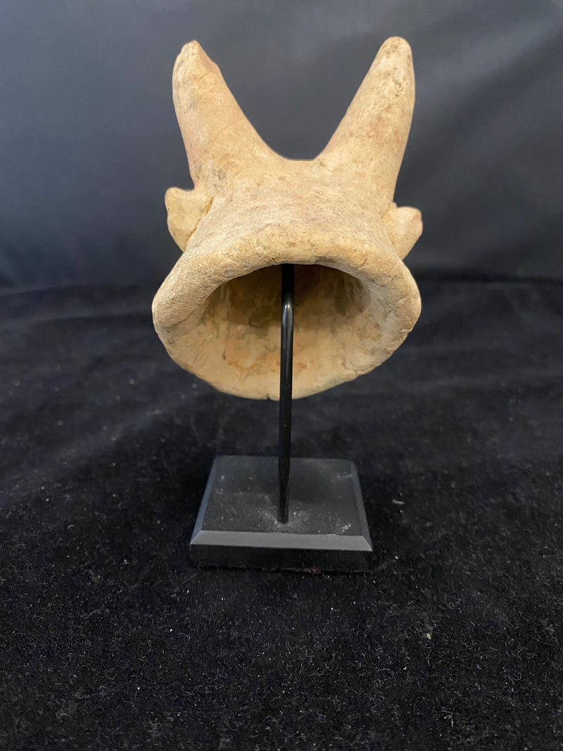 c. 2000-1100 BC Original Minoan Terracotta Bull Head - $10K APR Value w/ CoA! APR57