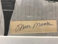 "The Big Three" Autographs of Joe DiMaggio, Mickey Mantle, and Ted Williams - $3K Appraisal Value w/ Certificate of Authenticity!* APR 57