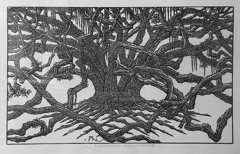 Jacques Hnizdovsky “Lousiana Champion Live Oak”.  1977 Ltd. Edition Woodcut Print - $10K APR Value w/ CoA! APR 57
